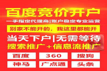 企业SEM托管代运营实战案例